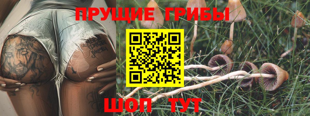 Галлюциногенные грибы ЛСД  Вход с VPN  Ачинск 